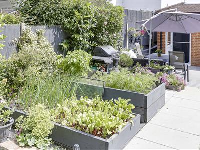 Picture 31
